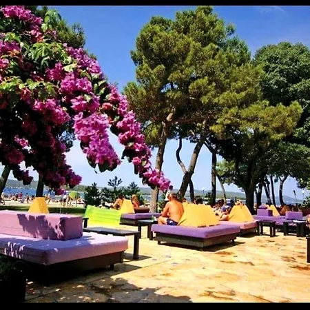 Mobile Seastar Campsite