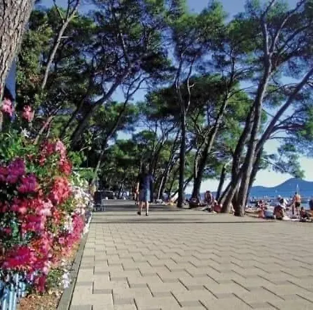 Mobile Seastar Biograd Na Moru